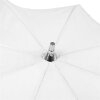 Falcon Eyes Parapluie réflecteur UR-32S argent-blanc 80 cm