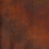 Falcon Eyes Fond en tissu S112 2,9x7 m