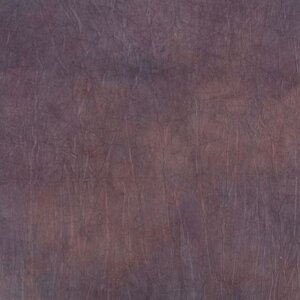 Falcon Eyes Fond en tissu S122 2,9x7 m
