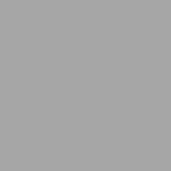 Falcon Eyes Fond de teint en tissu BCP-03 2,9x5 m Gris Lavable
