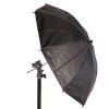 Kit stroboscopique StudioKing KBW-80 avec trépied - Équipement photographique