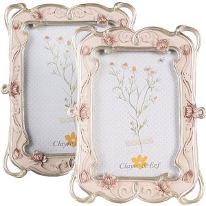 Clayre & Eef 2F1055 Cadre photo Rose 16x2x21 cm 10x15 cm Romantique