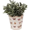 Clayre & Eef 6CE1664S Pot de fleurs Ø13x12 cm Beige Rose Céramique Papillon