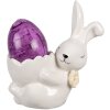 Clayre & Eef 6CE1700 Coquetier lapin blanc 10x6x11 cm style rustique