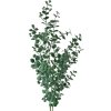 Clayre & Eef 5PL0084 Branche décorative vert 8x3x70 cm