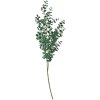 Clayre & Eef 5PL0084 Branche décorative vert 8x3x70 cm