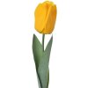 Clayre & Eef 6PL0235 Fleur artificielle Tulipe jaune 6x6x50 cm