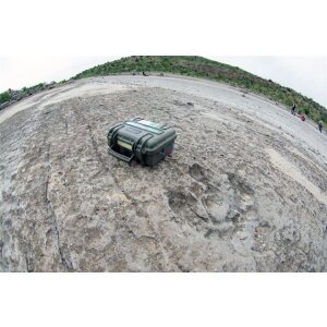 Explorer Cases 3317HL.G Mallette de transport avec mousse verte 330x234x170 mm