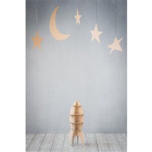 StudioKing Fond en tissu RSG1 2x3m avec impression