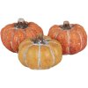 Clayre & Eef 6CE1781 Décoration Citrouille Set 3 18x7x4 cm