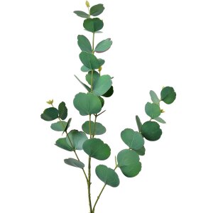 Clayre & Eef 5PL0104 Décoration Branche...