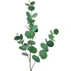 Clayre & Eef 5PL0104 Décoration Branche 18x6x85 cm