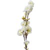 Clayre & Eef 5PL0093 Branche décorative avec fleurs blanc 10x8x92 cm plastique