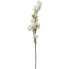 Clayre & Eef 5PL0093 Branche décorative avec fleurs blanc 10x8x92 cm plastique