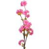 Clayre & Eef 5PL0095 Déco Branche avec fleurs rose 10x8x92 cm
