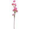 Clayre & Eef 5PL0095 Déco Branche avec fleurs rose 10x8x92 cm