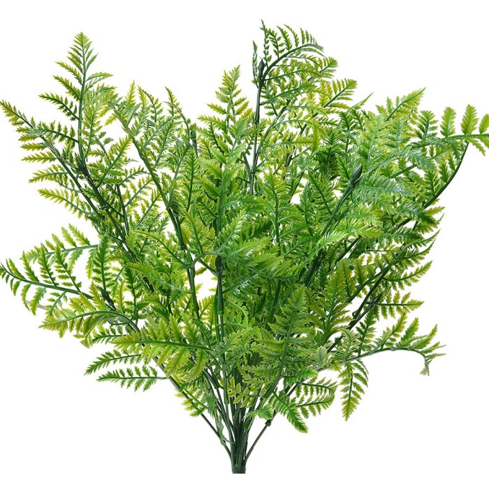 Clayre & Eef 6PL0298 Branche décorative Fougère persane Vert 14x6x56 cm