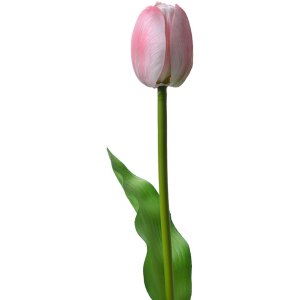 Clayre & Eef 6PL0311 Tulipe artificielle rose 4x4x32...