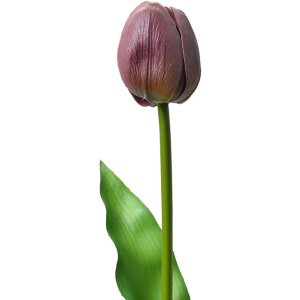 Clayre & Eef 6PL0312 Fleur artificielle Tulipe...
