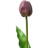 Clayre & Eef 6PL0312 Fleur artificielle Tulipe Violette 4x4x32 cm