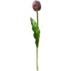 Clayre & Eef 6PL0312 Fleur artificielle Tulipe Violette 4x4x32 cm