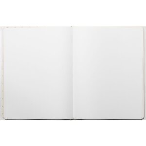 Exacompta 47987E Livre dor 100 pages dorées Néo Déco Blanc