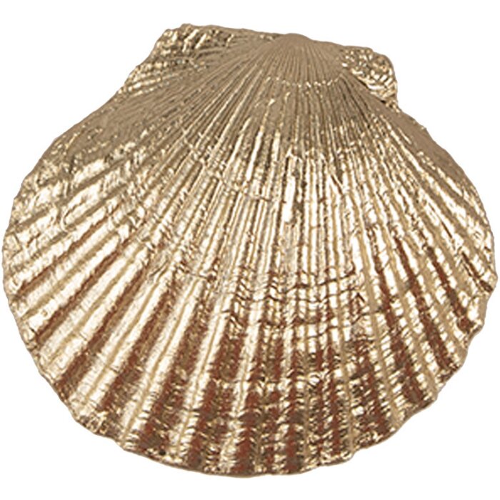 Clayre & Eef 65732 Bouton de porte Coquille 6x4x6 cm Or Polyrésine