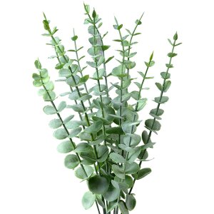 Clayre & Eef 6PL0278 Décoration Branche Verte...