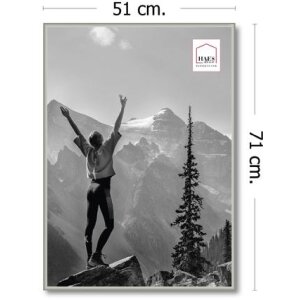 Haes Deco Cadre photo plastique EF8S Easy Frame argent 50x70 cm