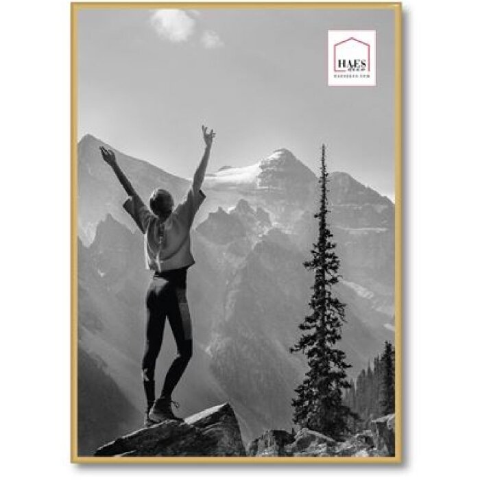 Haes Deco Cadre photo plastique EF8G Easy Frame Gold 50x70 cm pour montage mural