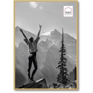 Haes Deco Cadre photo plastique EF8G Easy Frame Gold...