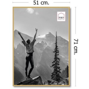 Haes Deco Cadre photo plastique EF8G Easy Frame Gold 50x70 cm pour montage mural