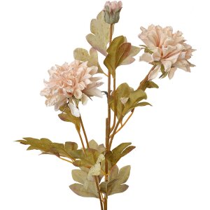 Clayre & Eef 6PL0328W Branche décorative avec fleurs Beige 9x9x68 cm