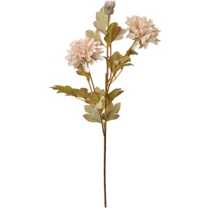 Clayre & Eef 6PL0328W Branche décorative avec fleurs Beige 9x9x68 cm