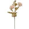 Clayre & Eef 6PL0328W Branche décorative avec fleurs Beige 9x9x68 cm