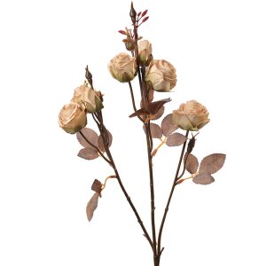Clayre & Eef 6PL0330W Décoration branche...