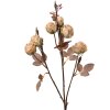 Clayre & Eef 6PL0330W Décoration branche fleurs beige marron 16x9x73 cm