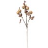 Clayre & Eef 6PL0330W Décoration branche fleurs beige marron 16x9x73 cm