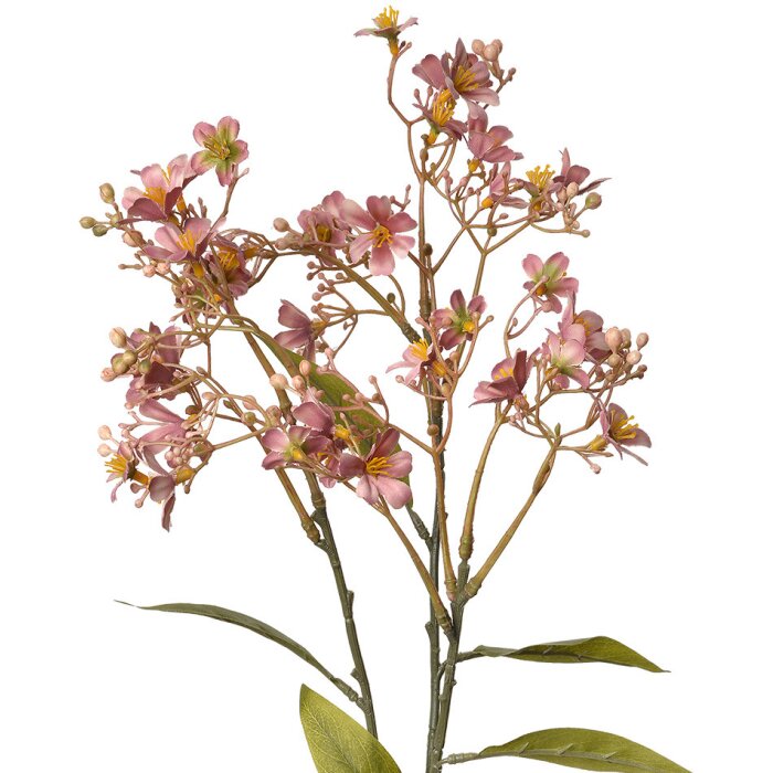Clayre & Eef 5PL0122P Décoration Branche avec fleurs 15x7x70 cm