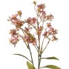Clayre & Eef 5PL0122P Décoration Branche avec fleurs 15x7x70 cm