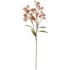 Clayre & Eef 5PL0122P Décoration Branche avec fleurs 15x7x70 cm