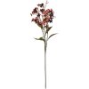 Clayre & Eef 5PL0122R Décoration Branche avec fleurs rouge 15x7x70 cm
