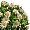Clayre & Eef 6PL0324M Boule décorative Fleur de marguerite artificielle Ø 22 cm