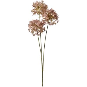 Clayre & Eef 6PL0326P Branche décorative avec fleurs roses 10x10x62 cm