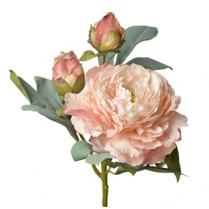 Clayre & Eef 6PL0332P Fleur artificielle Rose rose...