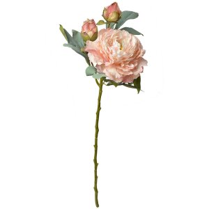 Clayre & Eef 6PL0332P Fleur artificielle Rose rose 12x12x62 cm