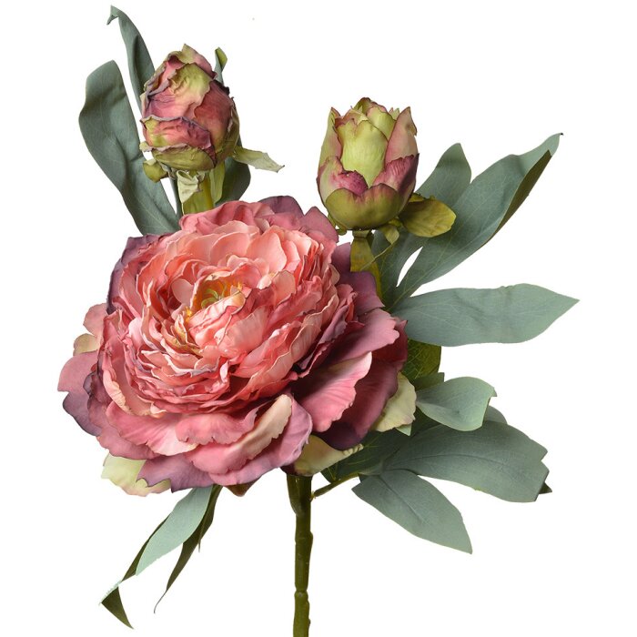 Clayre & Eef 6PL0332R Fleur artificielle rose rouge 12x12x62 cm