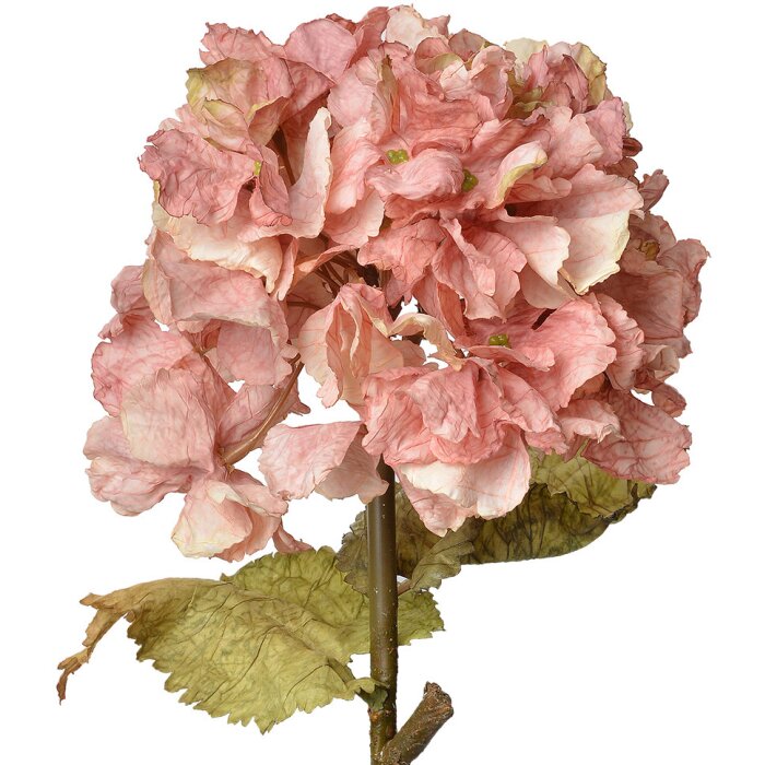 Clayre & Eef 6PL0333P Branche décorative avec fleurs roses 10x10x55 cm