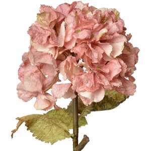 Clayre & Eef 6PL0333P Branche décorative avec...