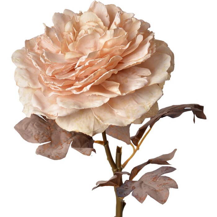 Clayre & Eef 6PL0334 Fleur artificielle Rose Rose 10x10x60 cm